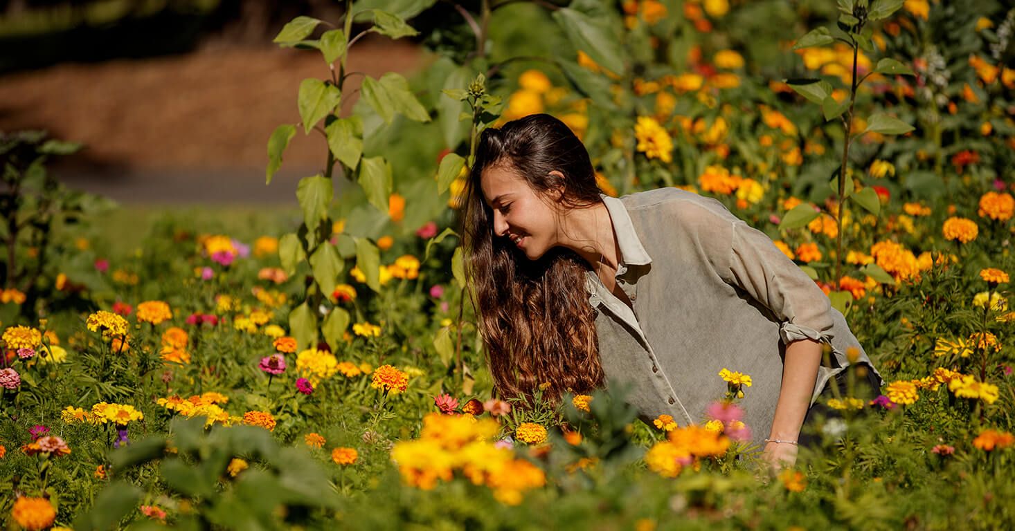 Woman in a field of yellow flowers