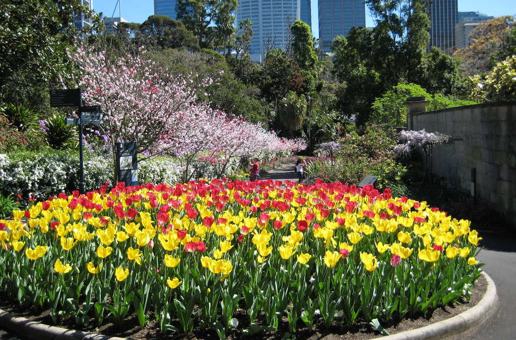 buggy tour garden spring walk 