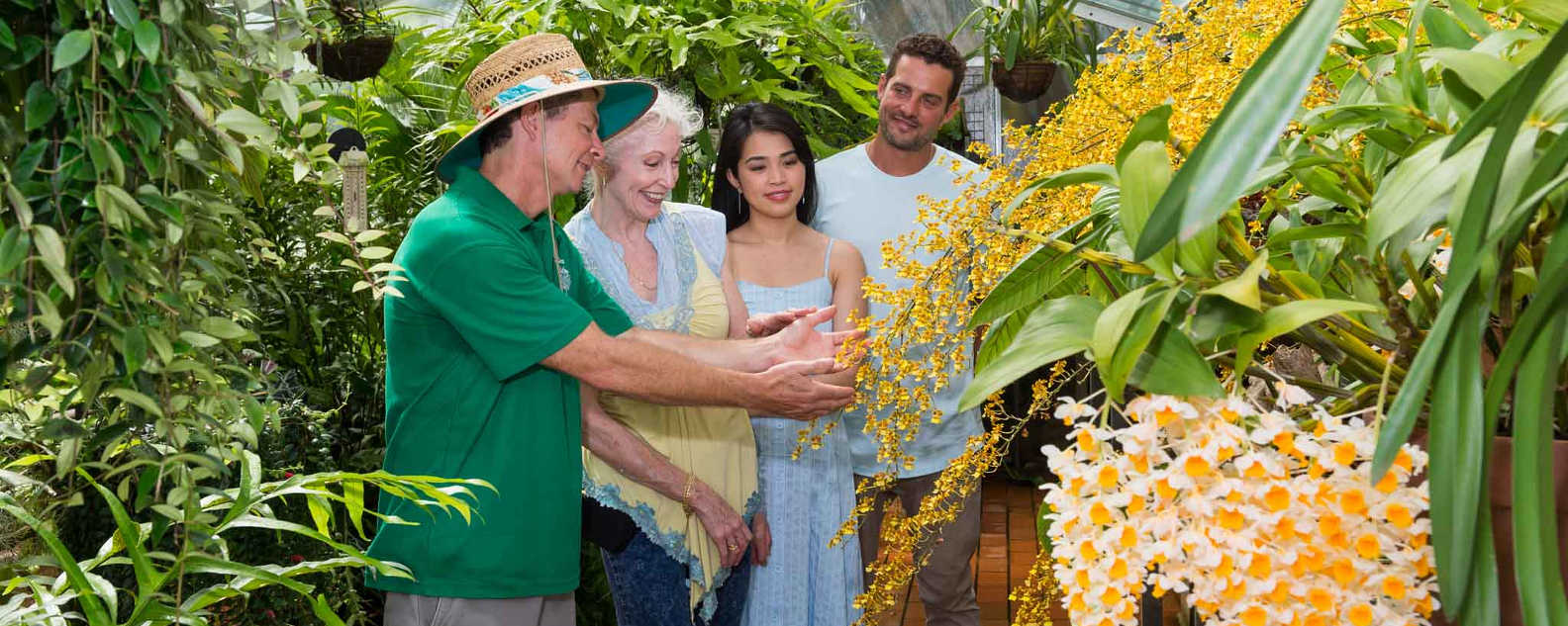 glasshouse tour close up