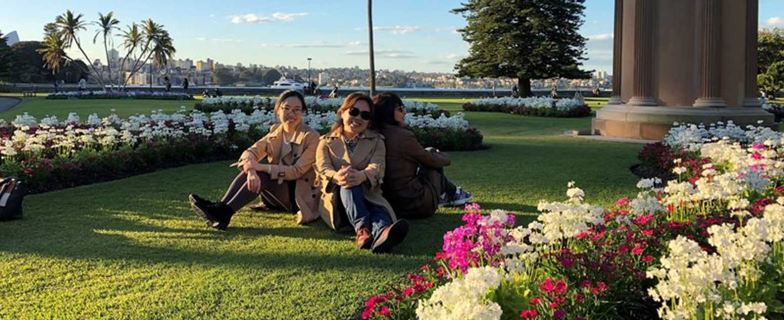 flower bed lawn close up