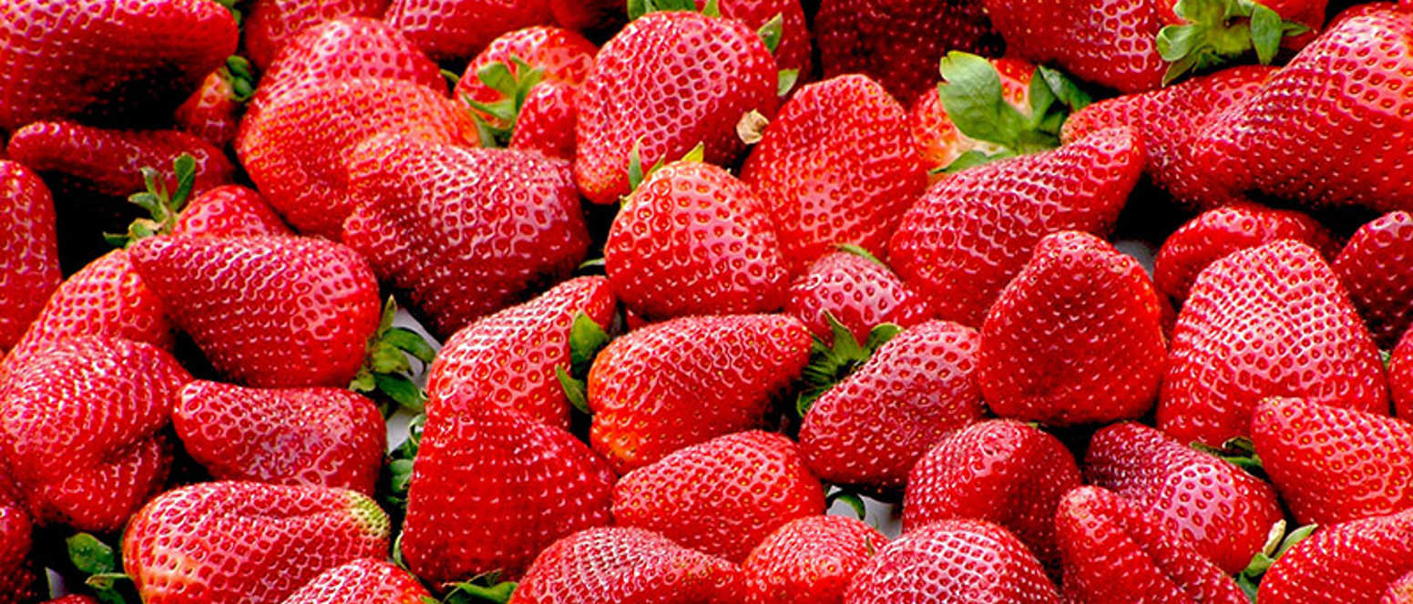 red strawberries close up