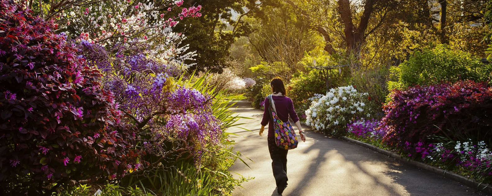 spring garden walk close up hero