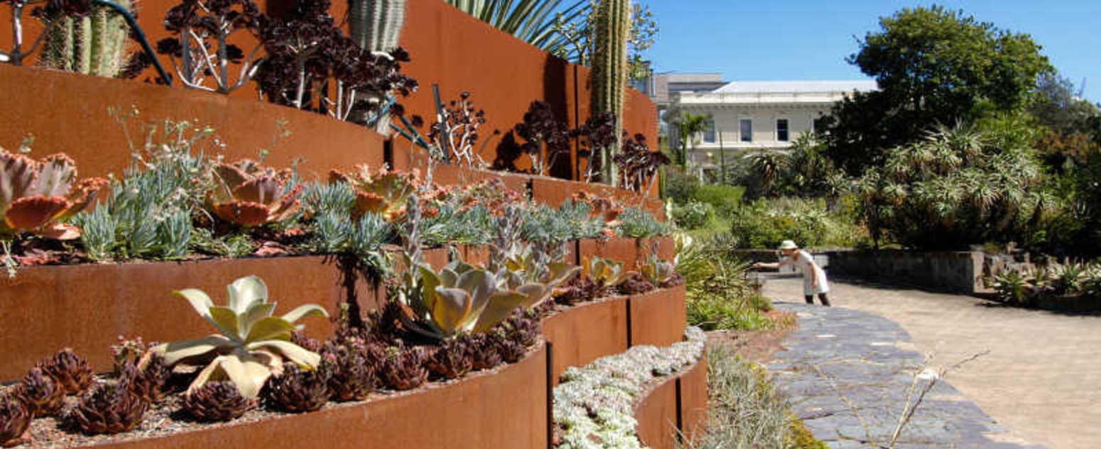 Succulent wall rbg