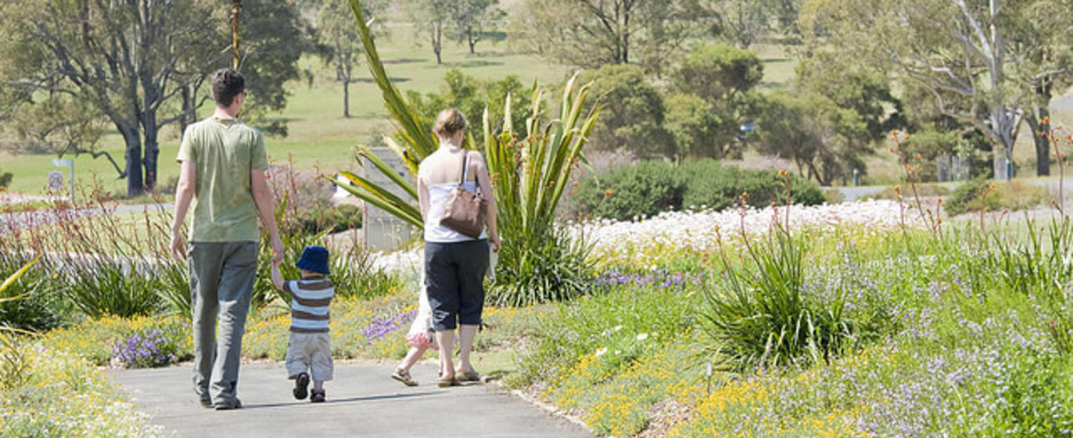 Connection garden abg