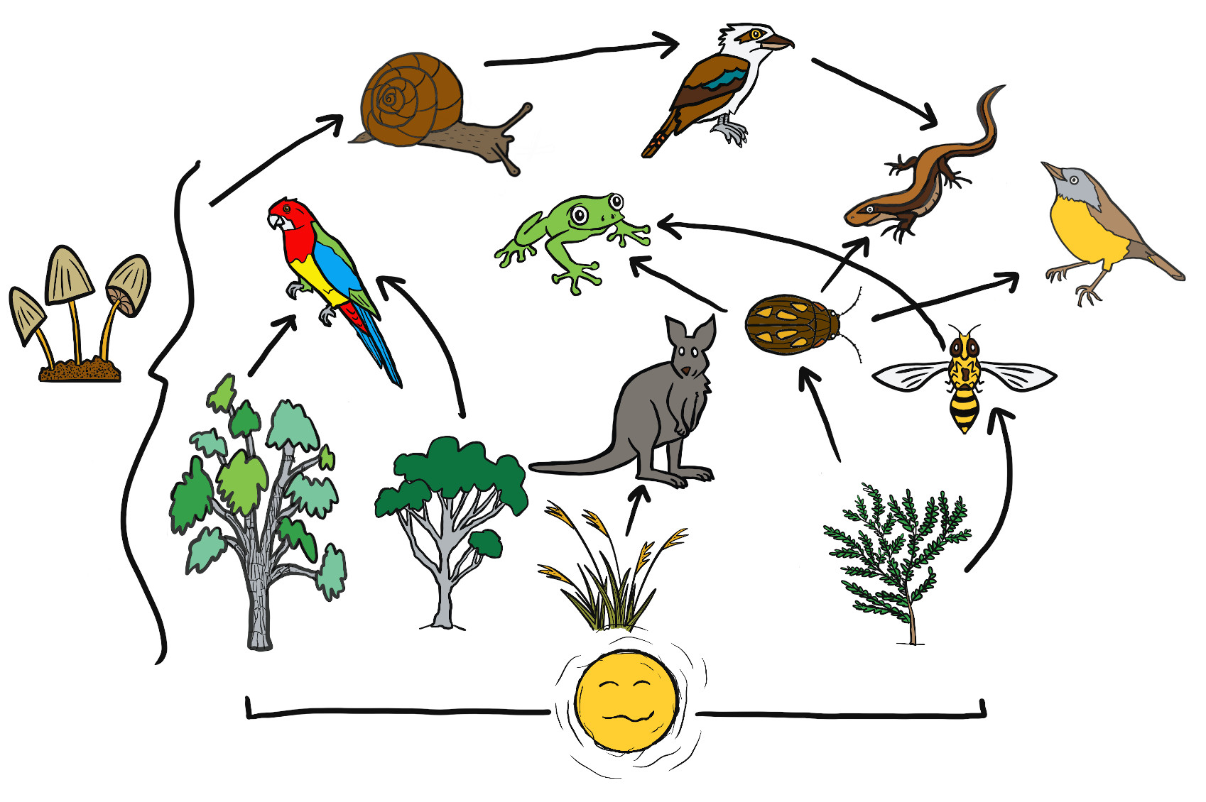 Can you identify any more interactions from the woodland food web below?