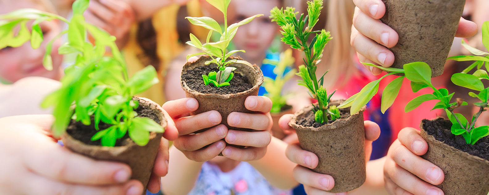 Closeup of children holding seedling pots