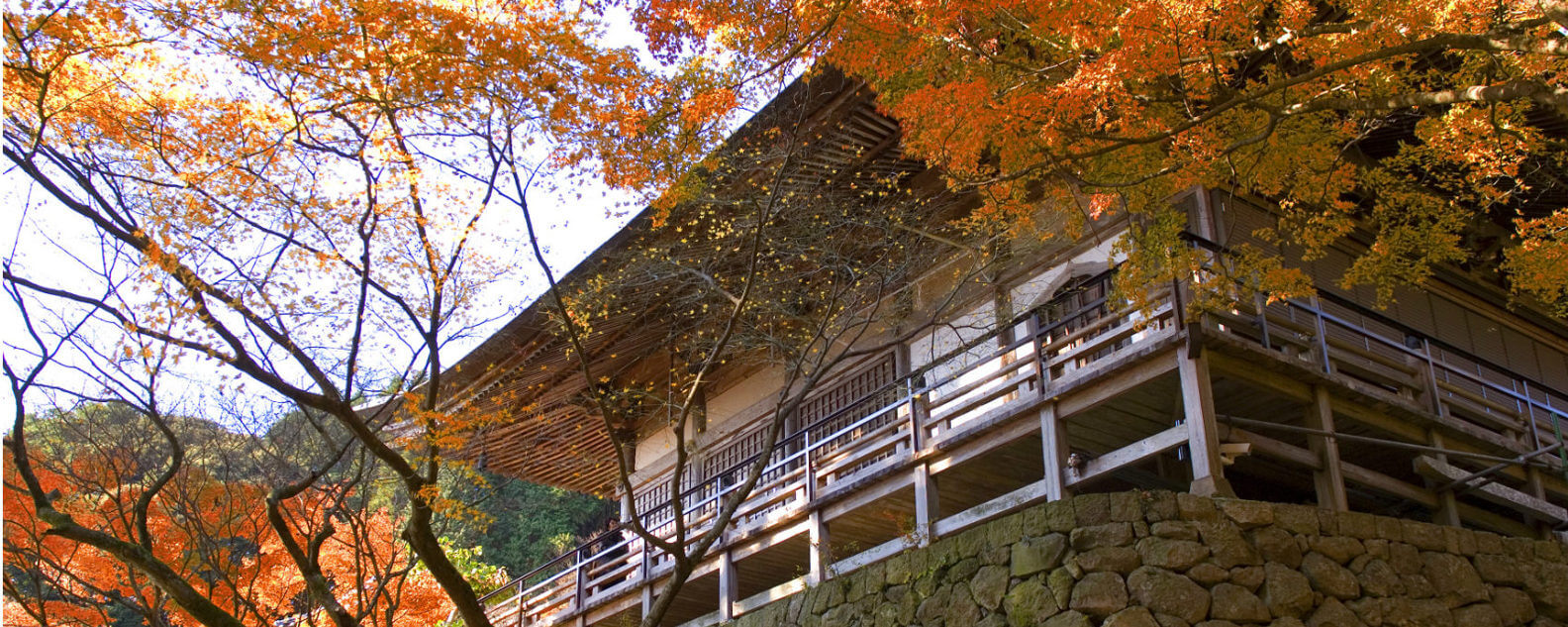 japan whats on listing hero