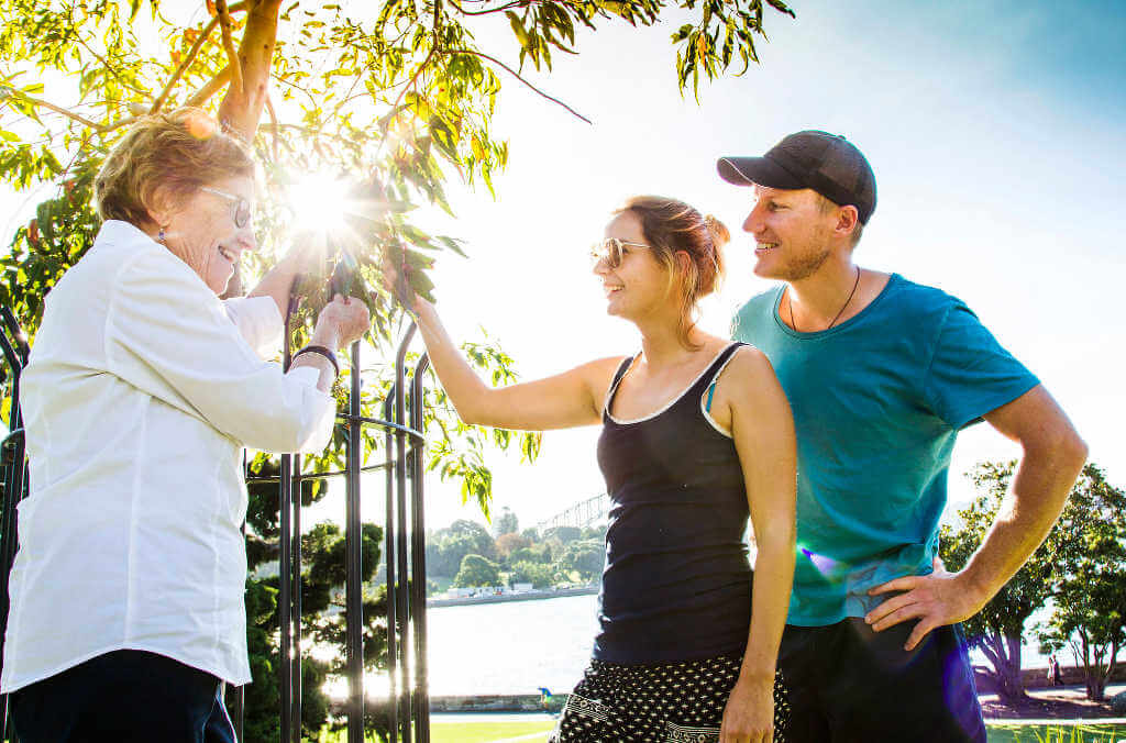 medicinal plants close up