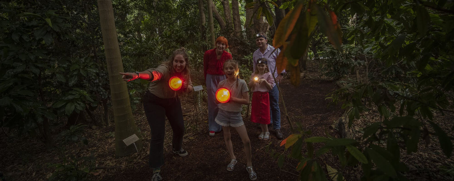 sunset spotlight hero banner