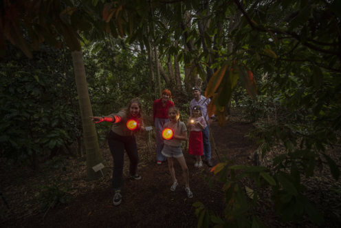 sunset spotlight thumbnail