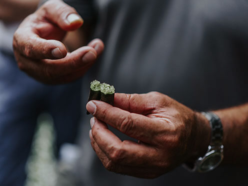 Tour guide holding an open finger lime