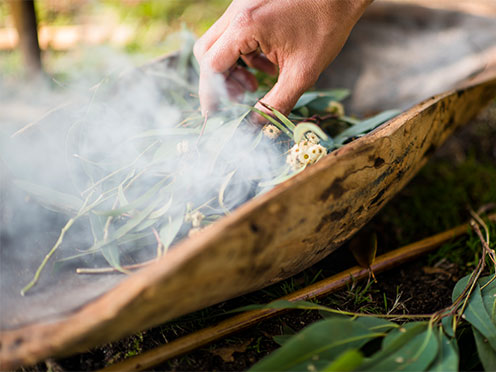 Smoke during an Aboriginal Heritage Tour at the Garden