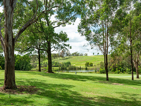 Lush lawn,eucalypts, and a lake