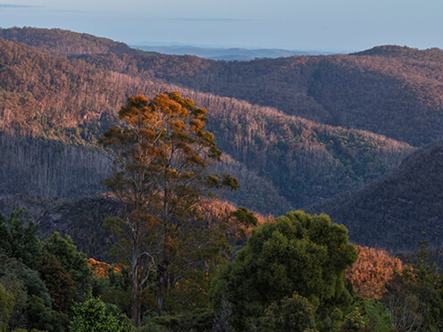 View of rolling mountains