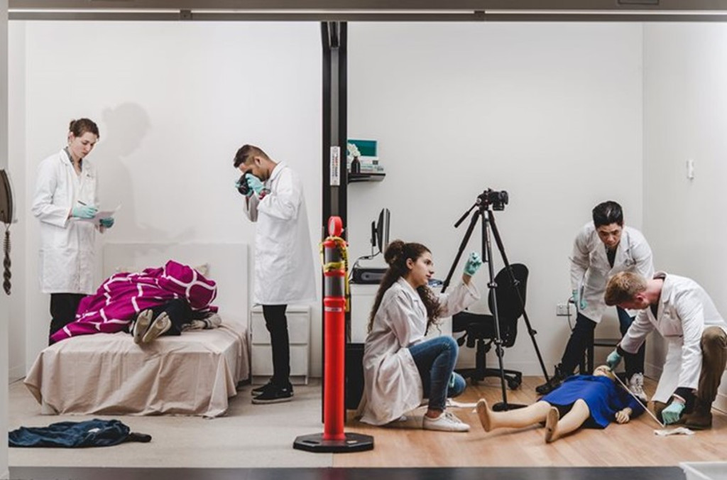 forensic investigators