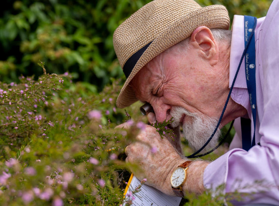 key projects close up