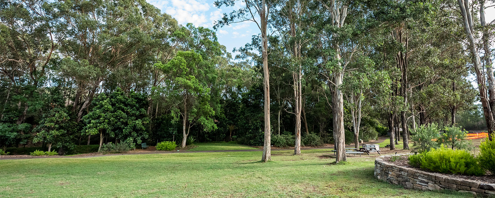Buffalo Lawn surrounded by trees and picnic tables in the distance
