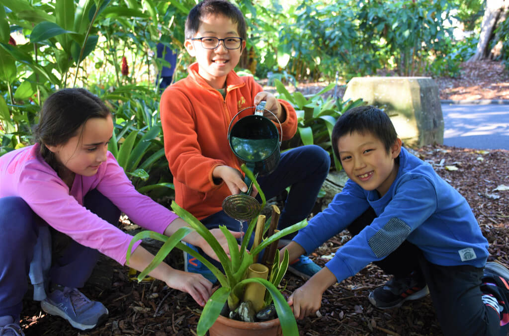 frog frenzy workshop close up
