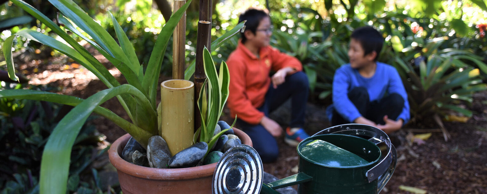 frog frenzy hero banner