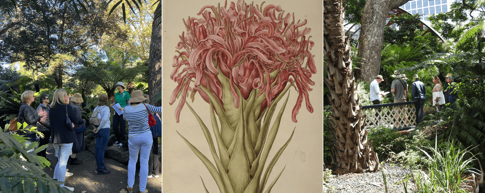 artists eye hero banner 