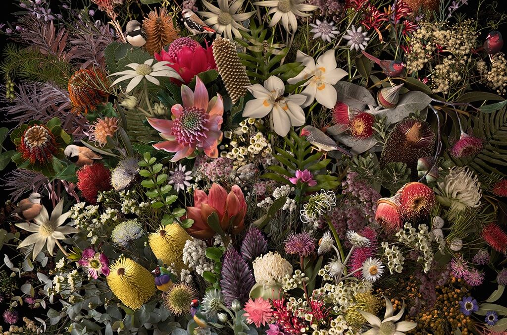 entangled exhibition close up