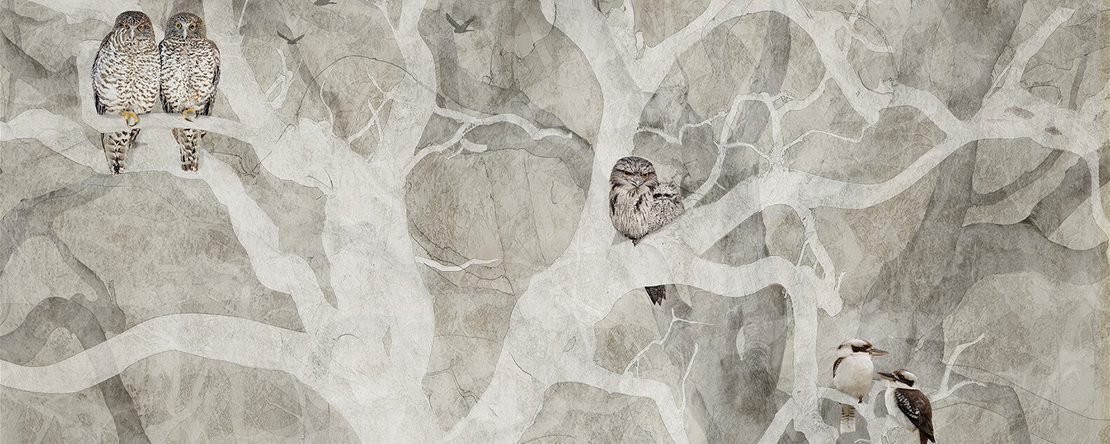 entangled exhibition hero banner