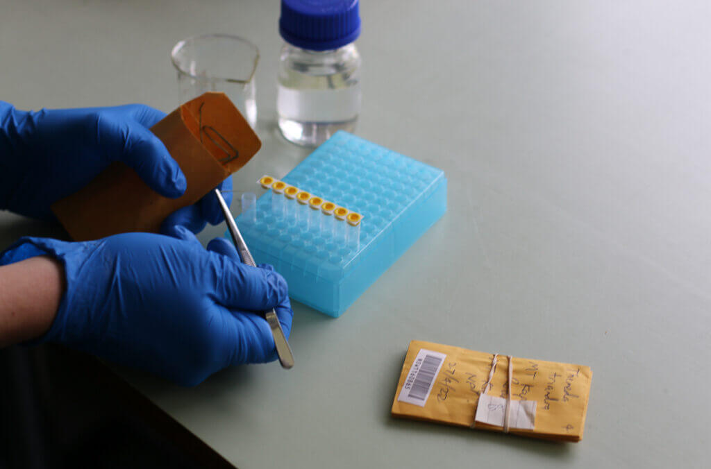 sequencing testing close up