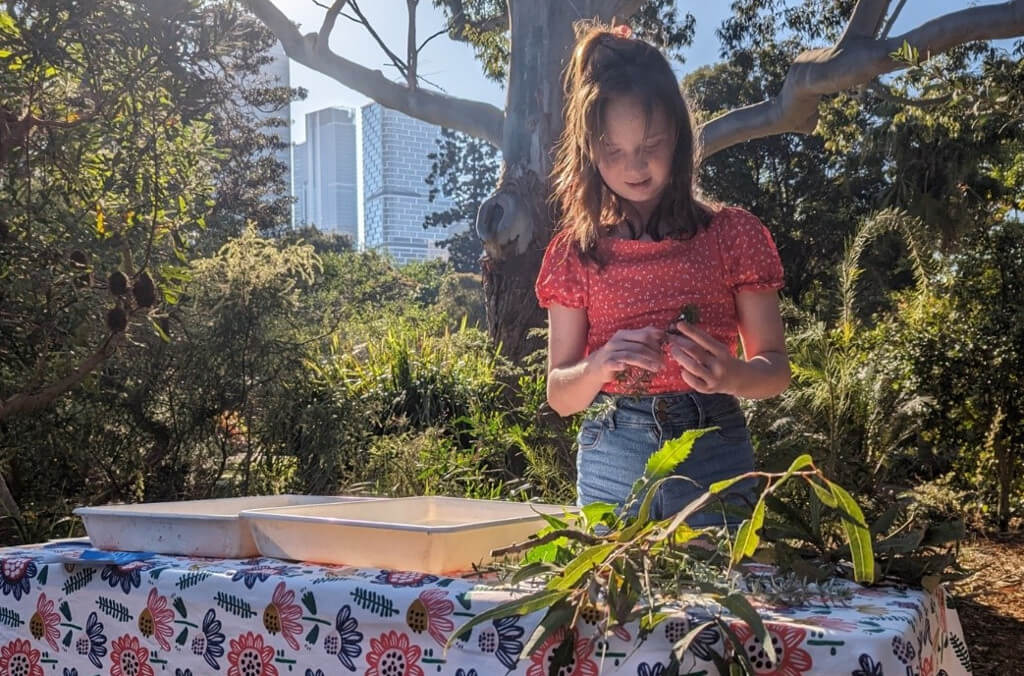 sunshine survivors close up 