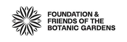 Foundation and Friends new logo