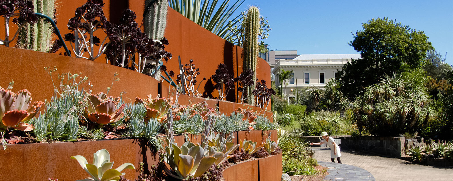 Horticulture-Succulent-Garden-hero-banner-1584x633.jpg
