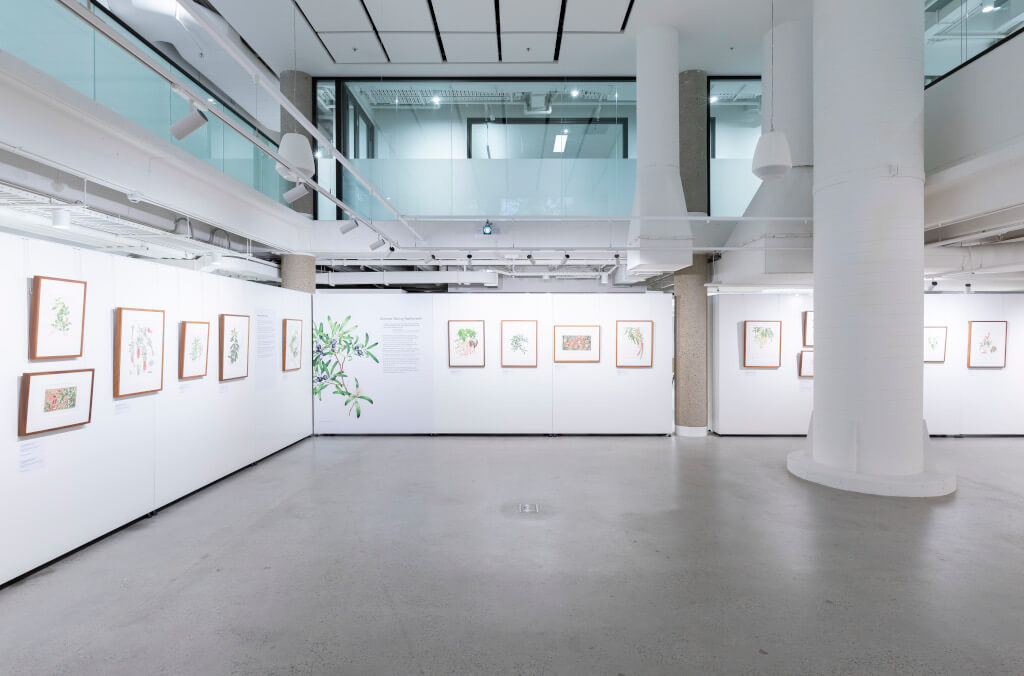 The Garden Gallery