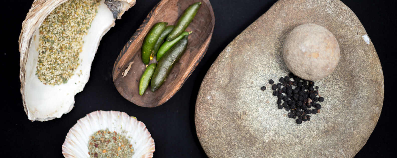 Education-First-Nations-Food-hero-1584x633.jpg