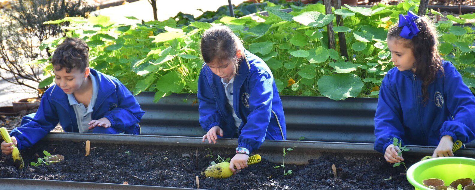 school children gardening