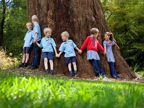school children with tree 