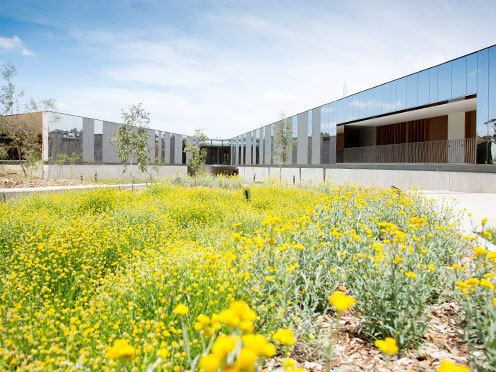 Science-Annan-PlantBank-Building-Yellow-Flowers-496x372.jpg