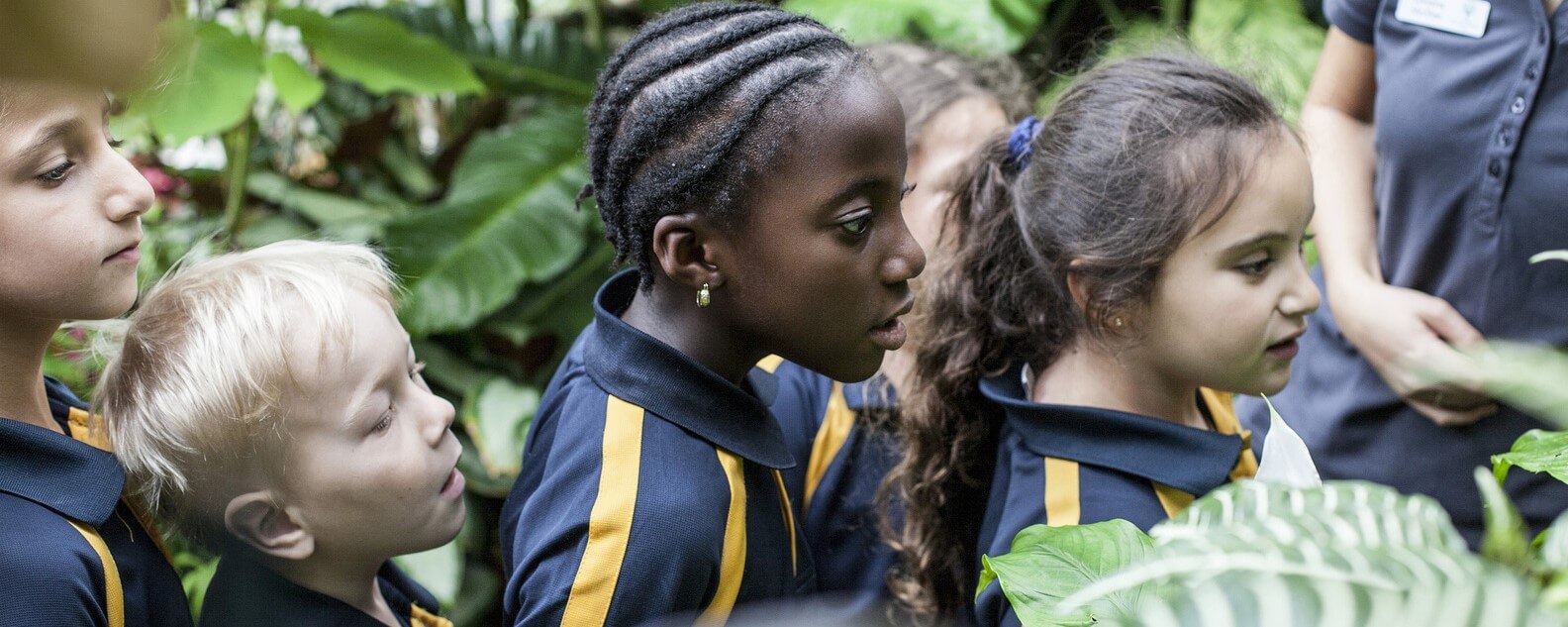 students in rainforest