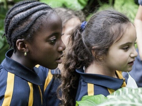 students in rainforest