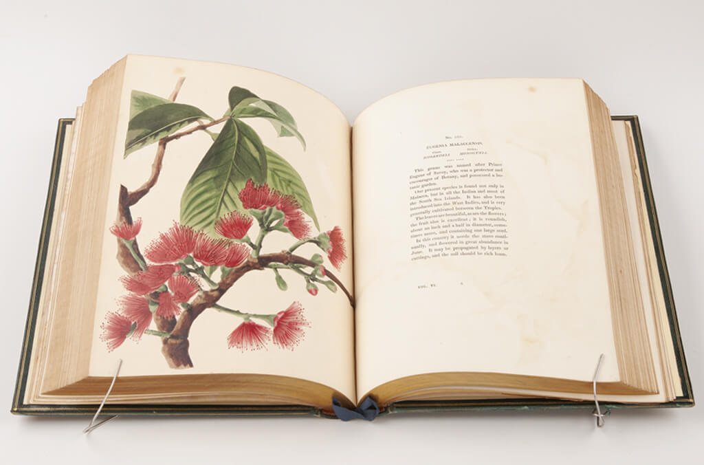 Science-Solander-Library-book-1024x676.jpg
