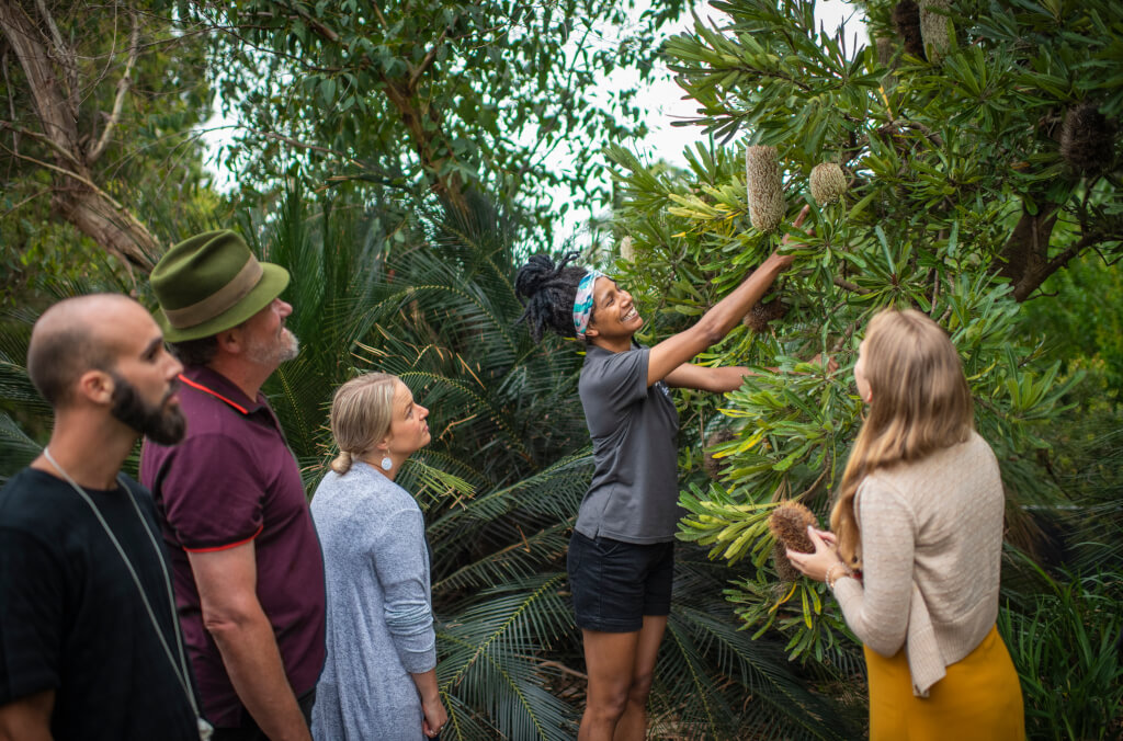 events-bush-tucker-tour-group-1024x676.jpg