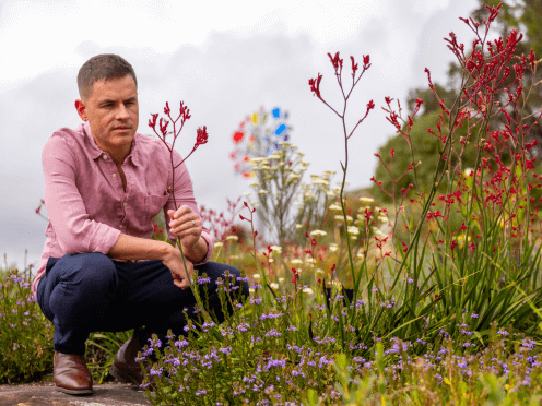 A man looking at a red plant outside 
