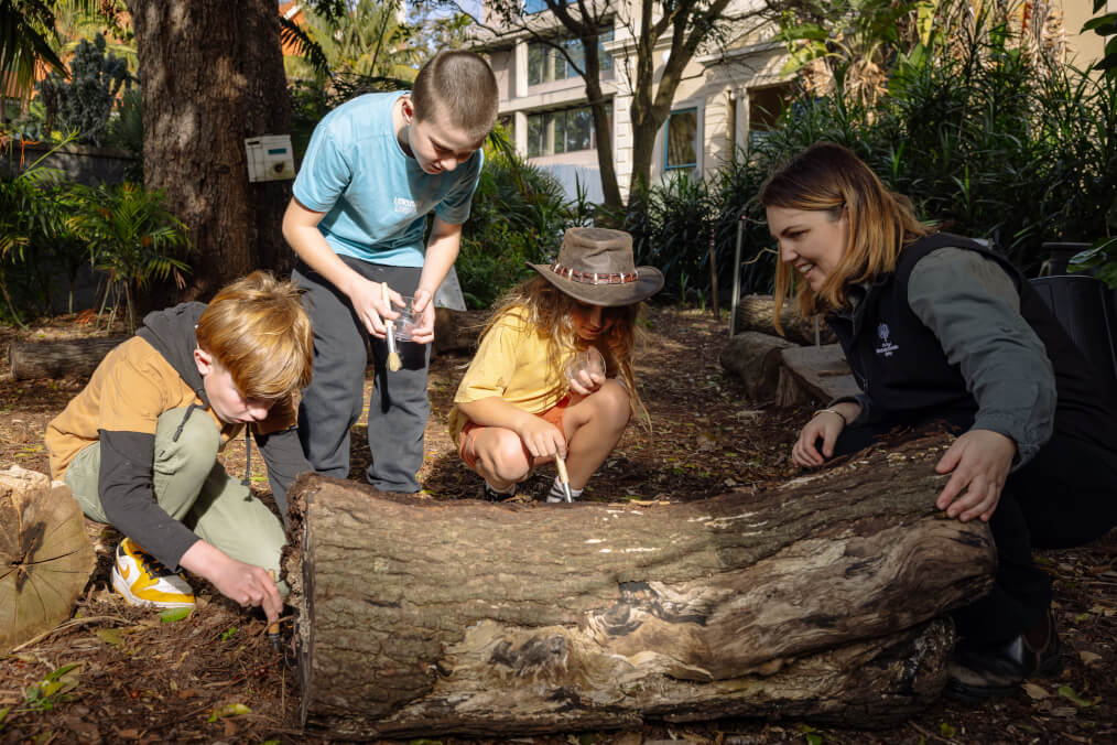 education-garden-adventure-1024x676.jpg