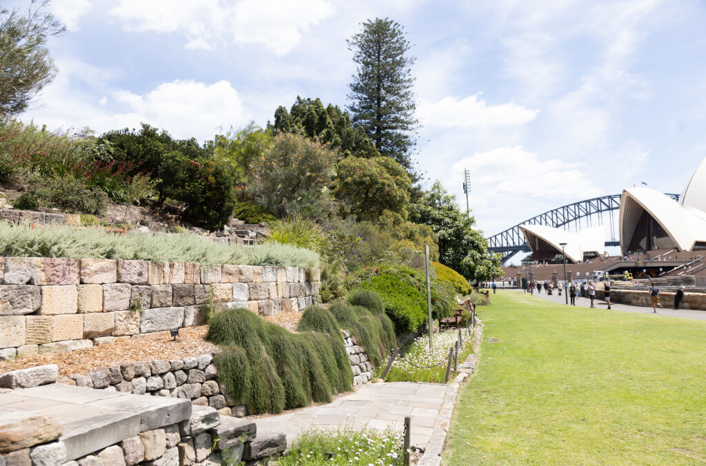 venues-australian-native-rockery-1024x676.jpg