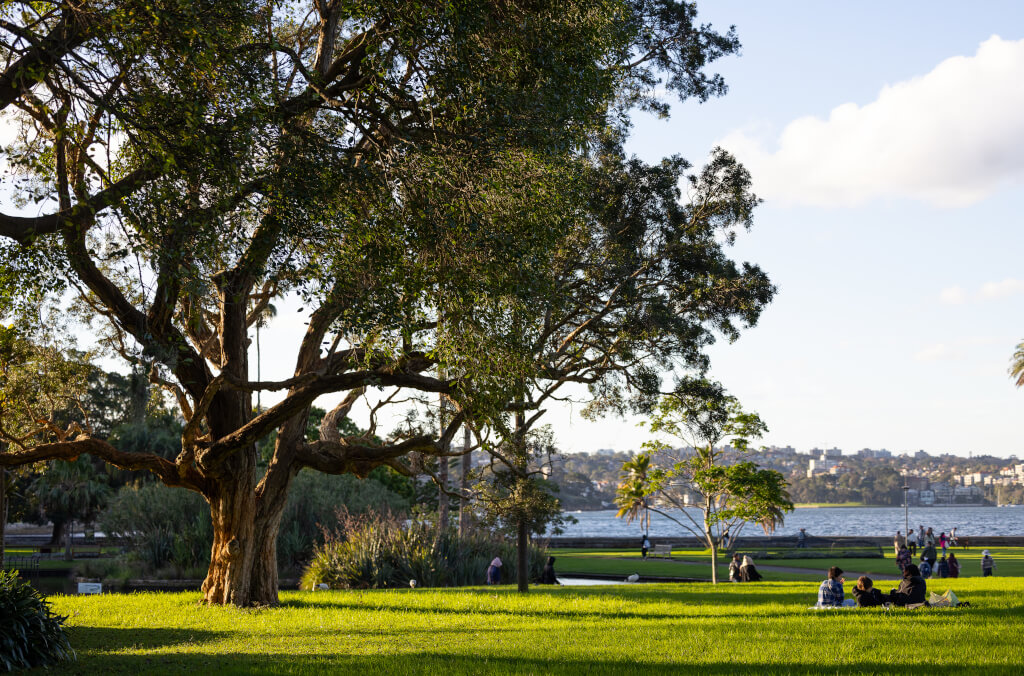 venues-harbour-view-lawn-1024x676.jpg
