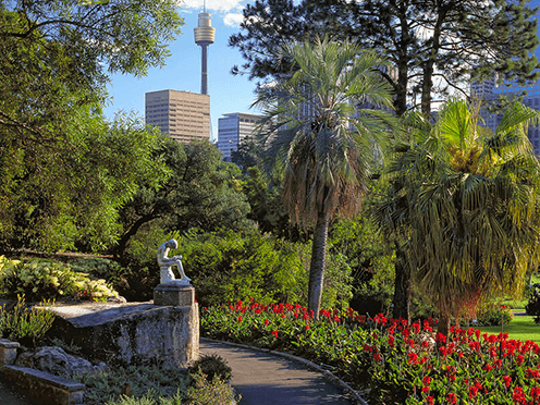 Garden highlights