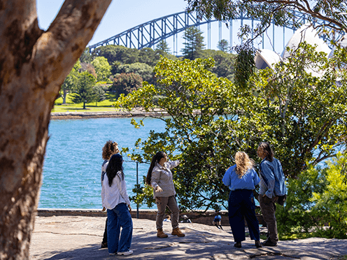 Guided Tours