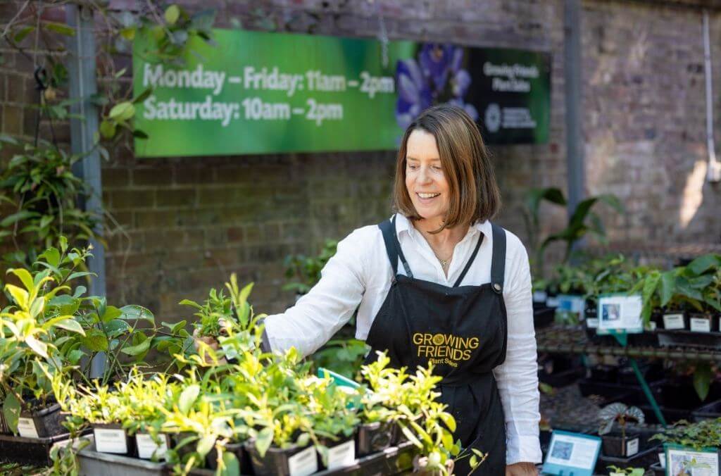 A volunteer looking after plants for sale in the growing friends nursery