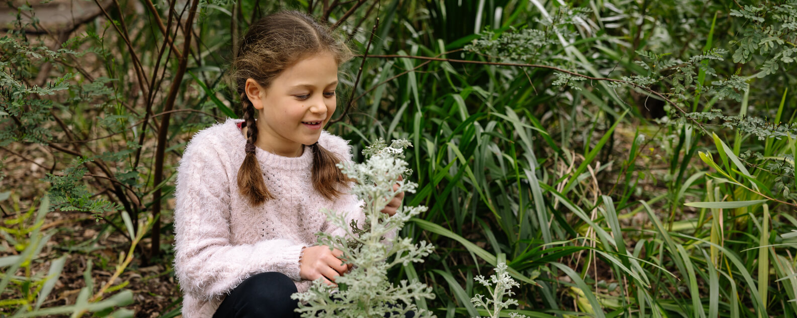 events-budding-botanists-sydney-hero-banner-1584x633.jpg