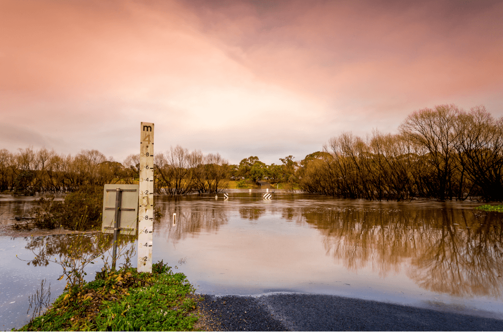 education-sign-4-flooding-picture-10247x676.png