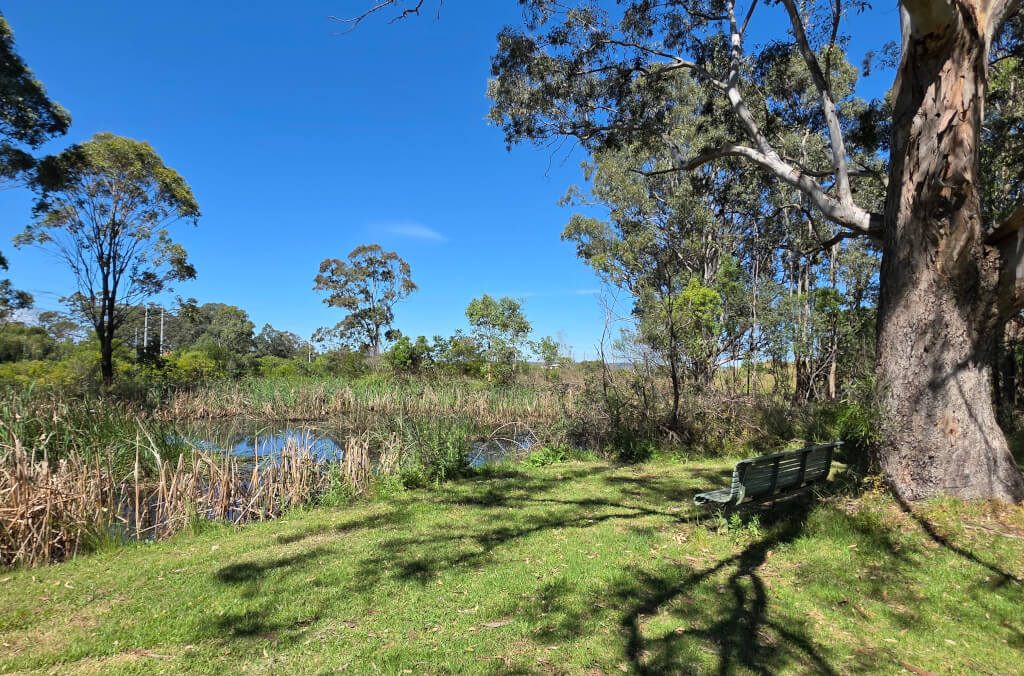 hort-Taking-Over-Naturally-Cumbungii-at-Glenlee-1024x676.jpg
