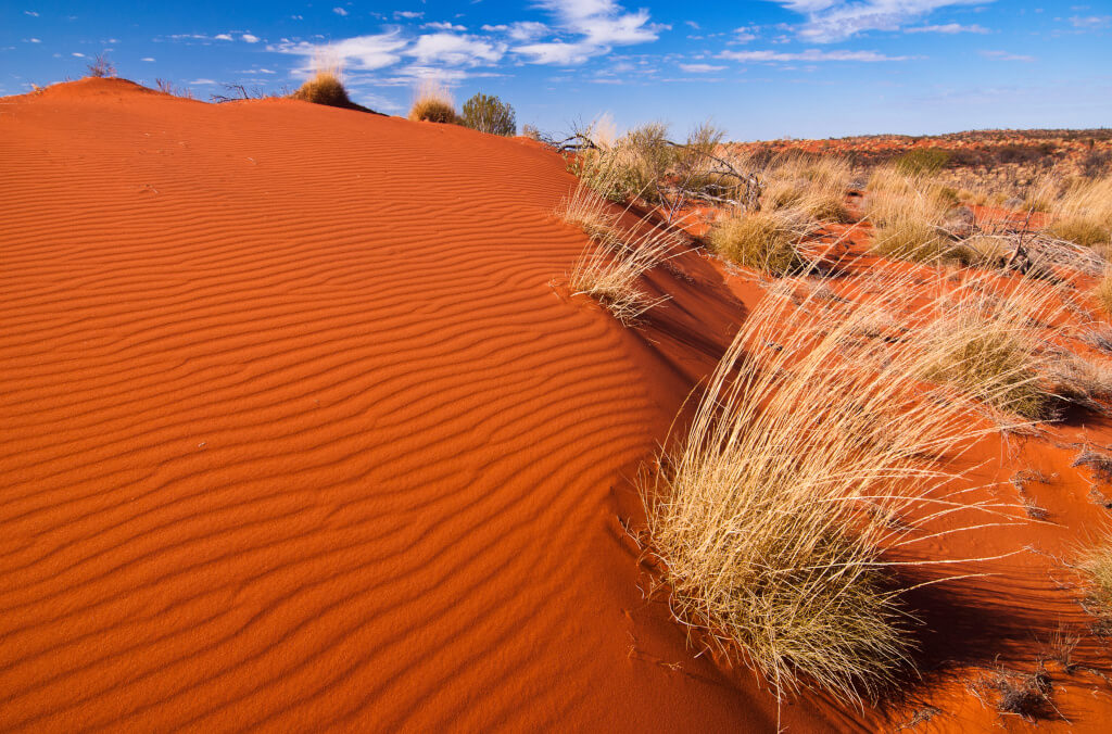 news-abg-flow-visit-Australian-Desert-Sign-10-1024x676.jpg
